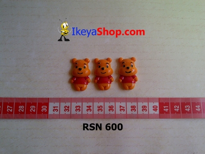 rsn 600  large2